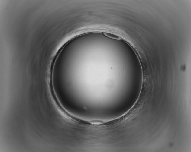 X0000100201523200805301259
