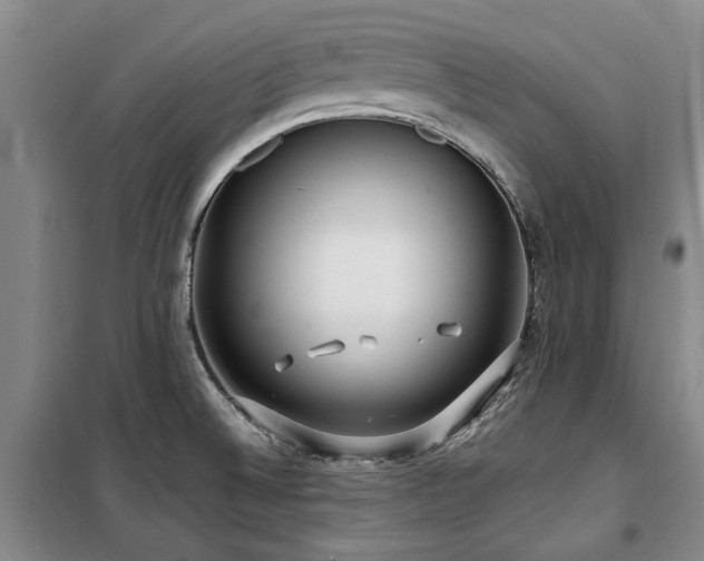 X0000100201524200805301259