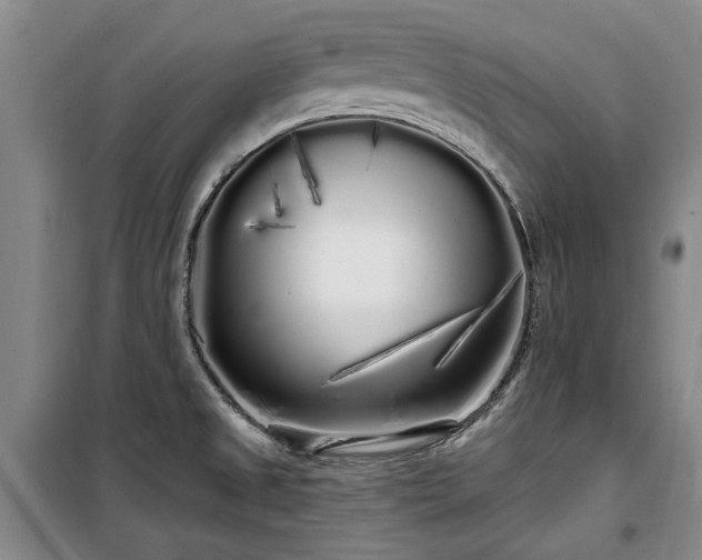 X0000100201525200805301259