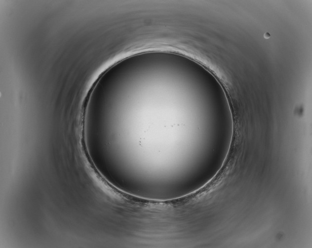 X0000100201526200805301259