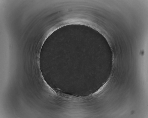 X0000100201529200805301259