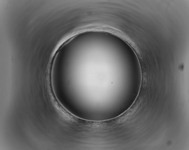 X0000100201530200805301259