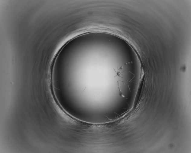 X0000100201531200805301259