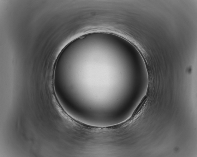 X0000100201534200805301259