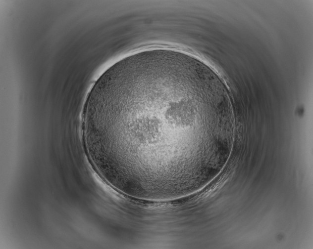 X0000100201535200805301259