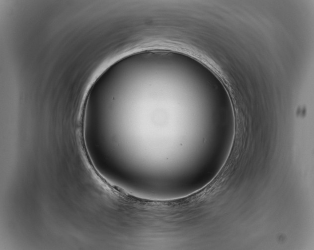 X0000100201536200805301259