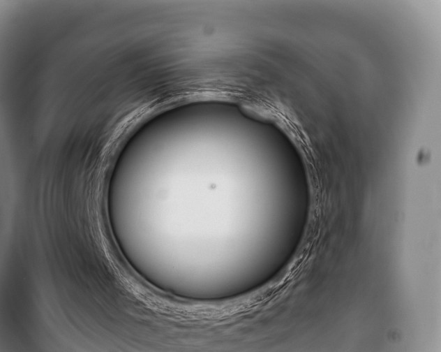 X0000100200001200806061333