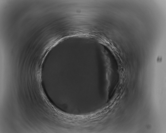 X0000100200002200806061333