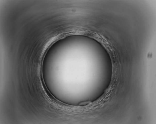 X0000100200003200806061333