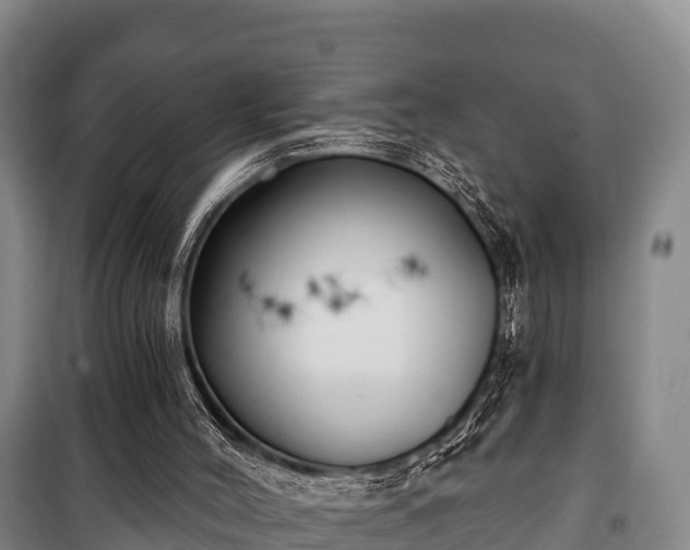 X0000100200004200806061333