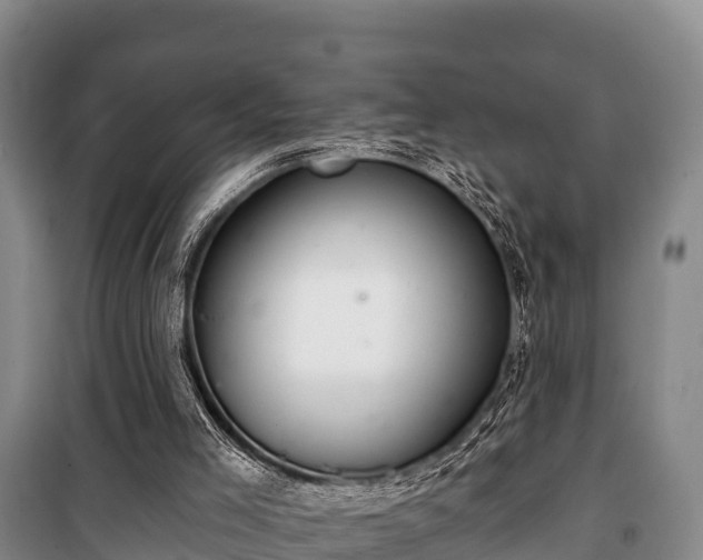 X0000100200005200806061333