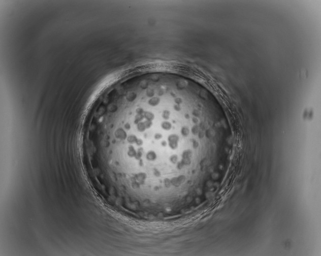 X0000100200006200806061333