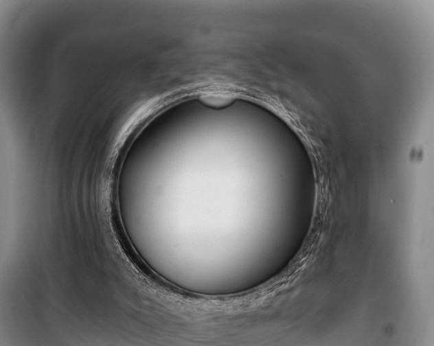 X0000100200007200806061333