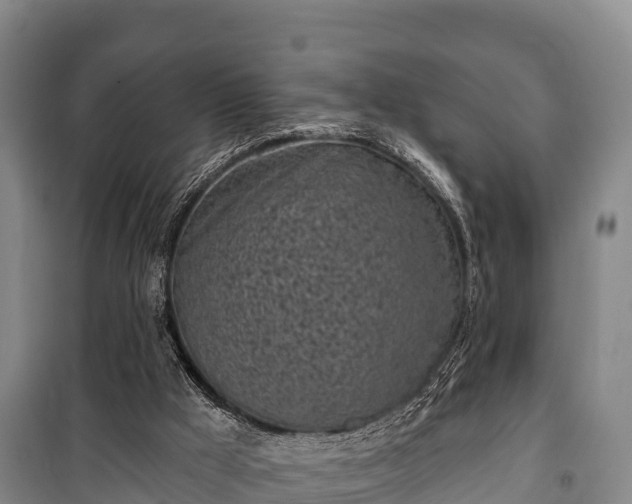 X0000100200009200806061333