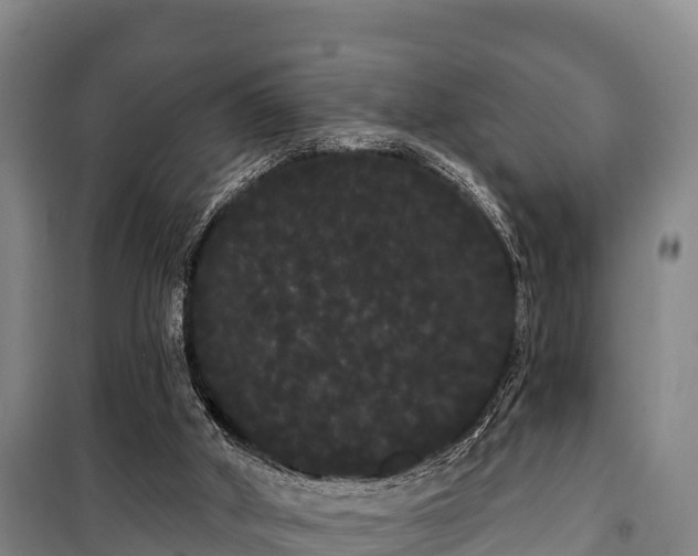 X0000100200010200806061333