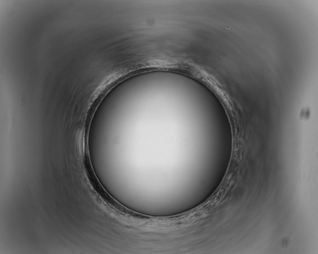 X0000100200011200806061333