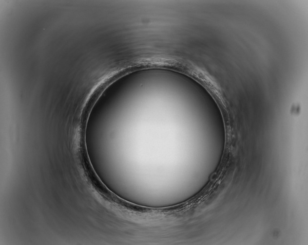 X0000100200012200806061333