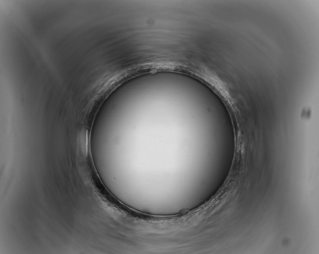 X0000100200013200806061333