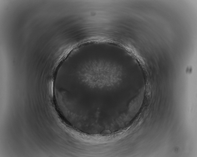 X0000100200014200806061333