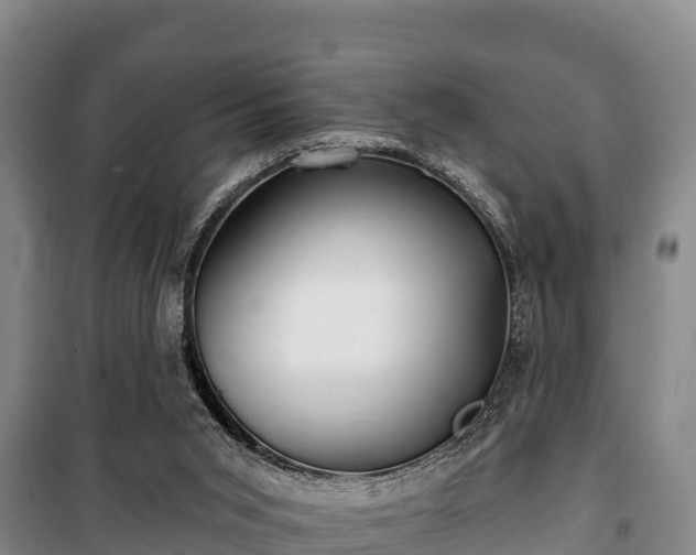 X0000100200015200806061333