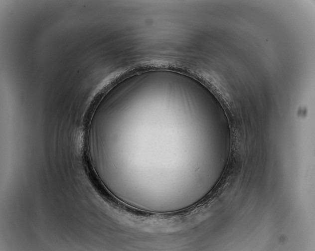 X0000100200016200806061333