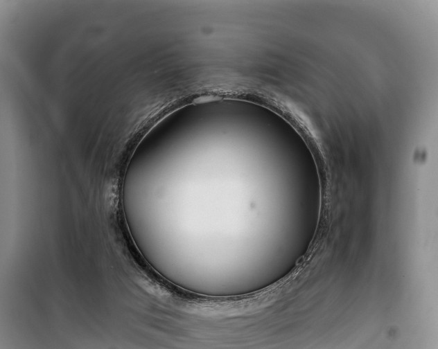 X0000100200017200806061333