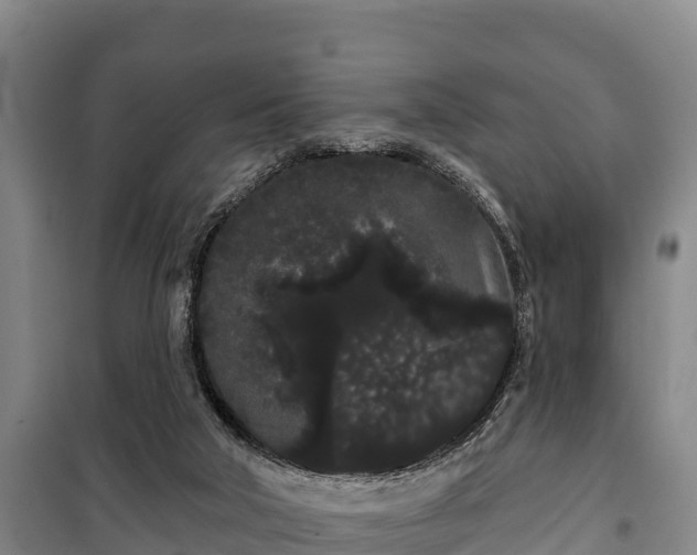 X0000100200018200806061333