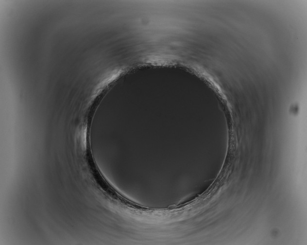 X0000100200019200806061333