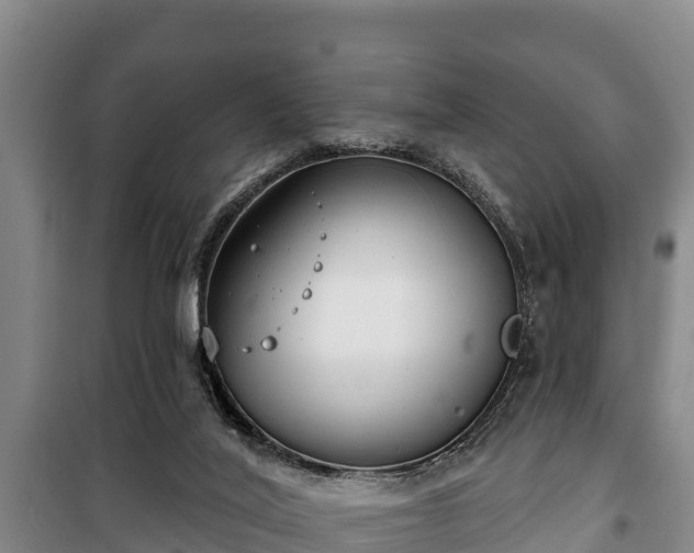 X0000100200020200806061333