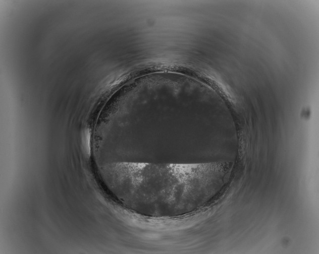 X0000100200022200806061333