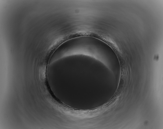 X0000100200023200806061333