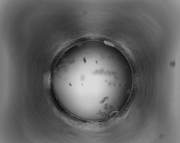 X0000100200024200806061333