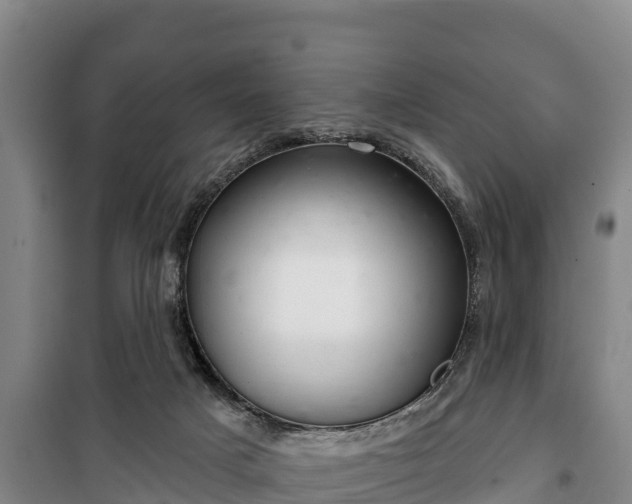 X0000100200025200806061333