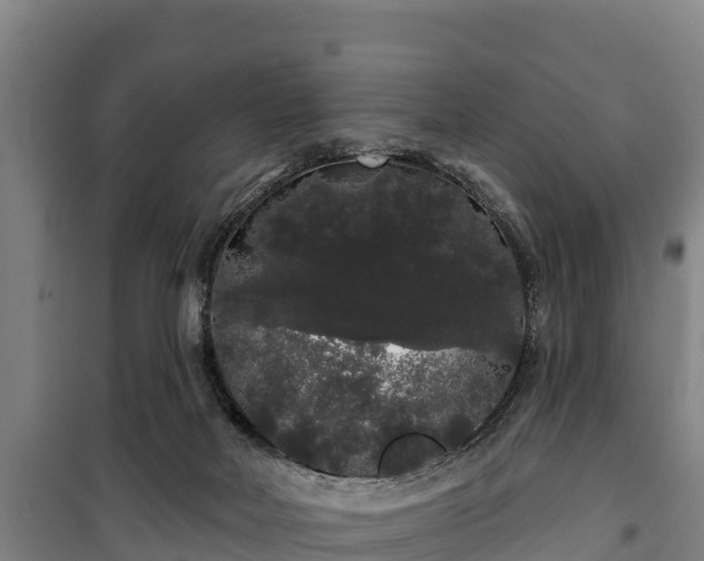 X0000100200026200806061333