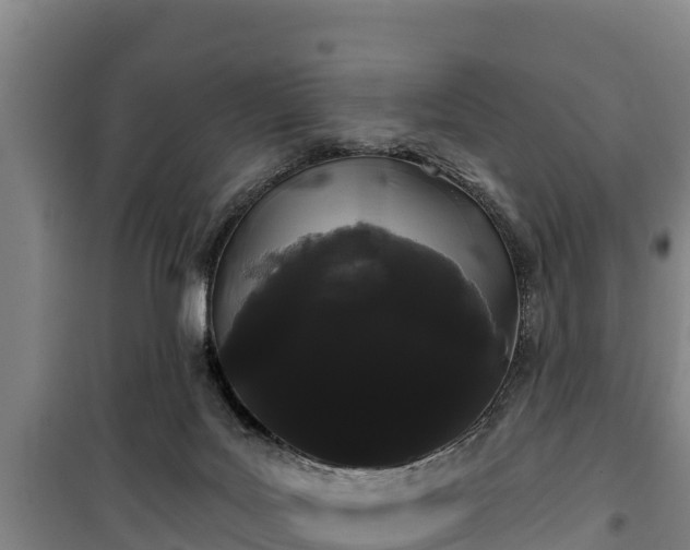 X0000100200027200806061333