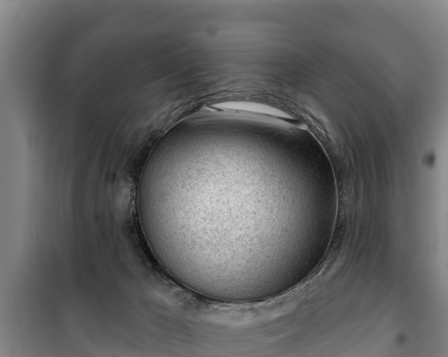 X0000100200029200806061333