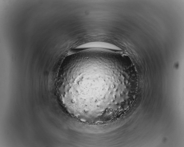 X0000100200030200806061333