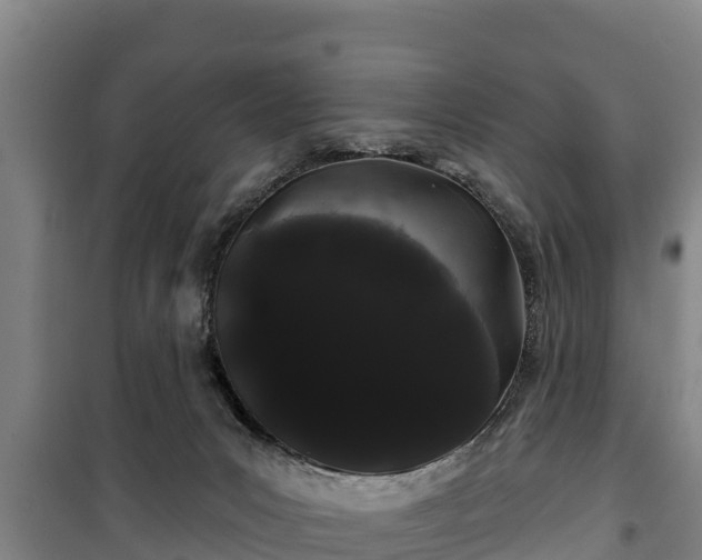 X0000100200031200806061333