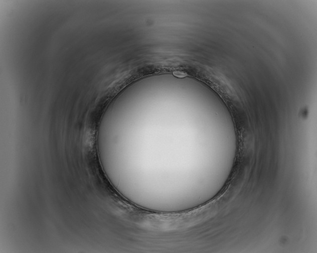 X0000100200033200806061333