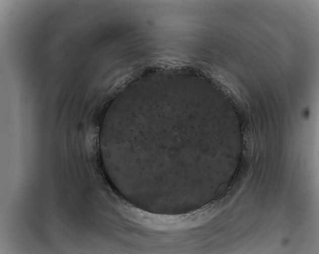 X0000100200034200806061333