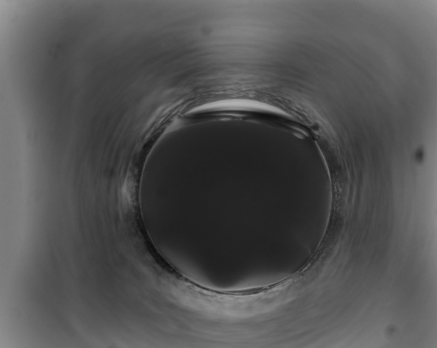 X0000100200035200806061333