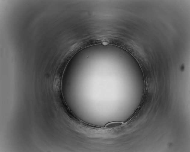 X0000100200036200806061333