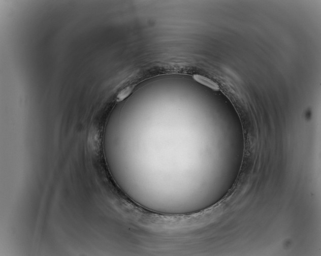 X0000100200037200806061333