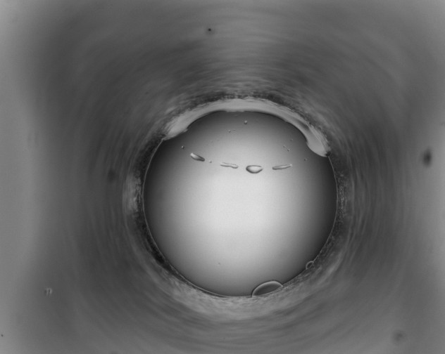 X0000100200038200806061333