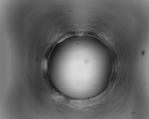 X0000100200041200806061333