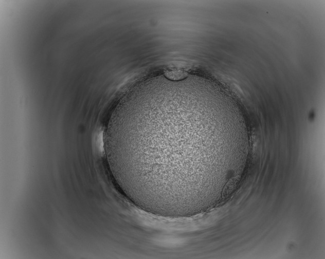 X0000100200042200806061333