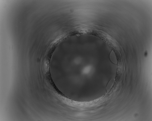 X0000100200043200806061333