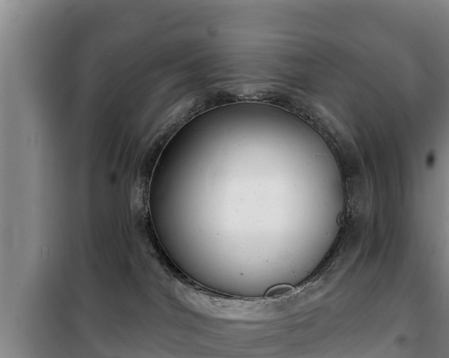 X0000100200044200806061333