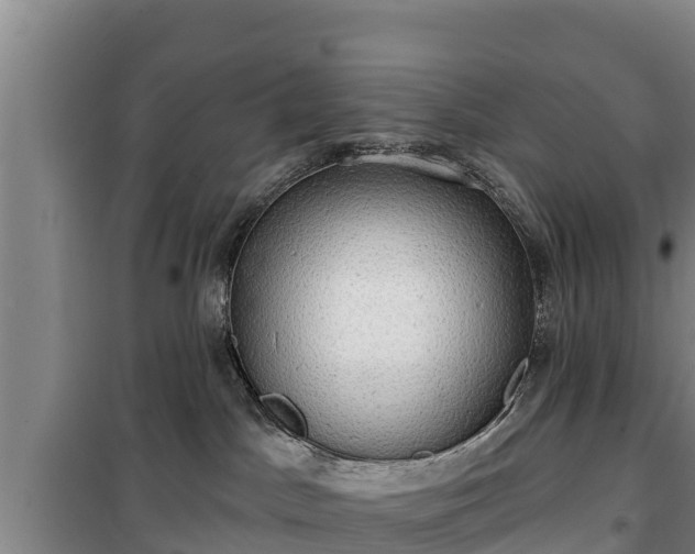 X0000100200045200806061332