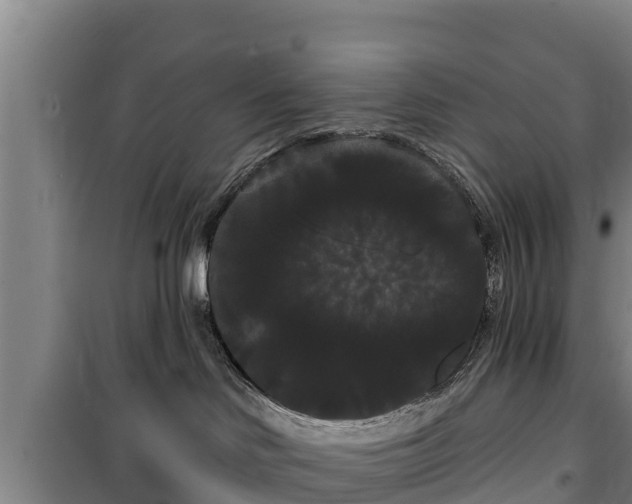 X0000100200046200806061332